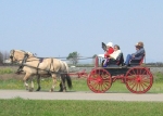 Red Coat Society members escorted in an original N.W.M.P.  democrat.